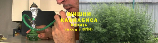ALPHA PVP Бородино