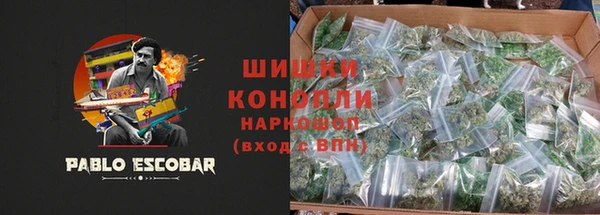 ALPHA PVP Бородино
